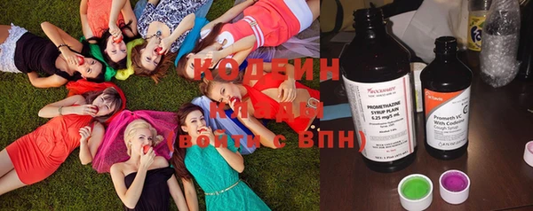 синтетический гашиш Заводоуковск