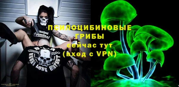 синтетический гашиш Заводоуковск