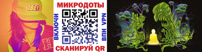 Псилоцибиновые грибы MAGIC MUSHROOMS  закладка  Черкесск 