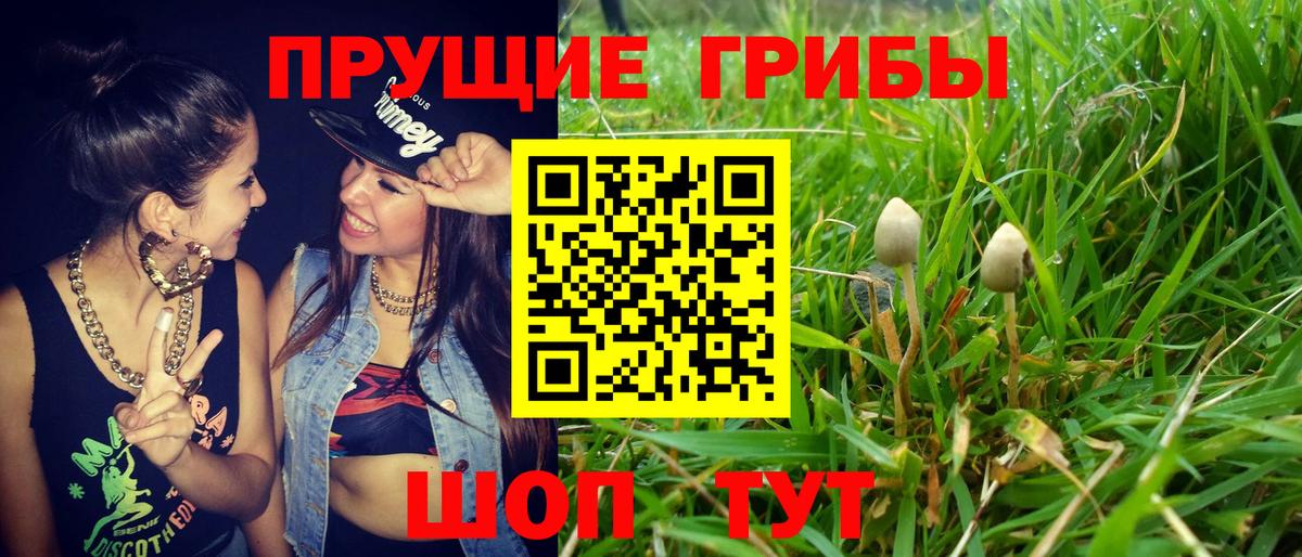 Псилоцибиновые грибы MAGIC MUSHROOMS Черкесск