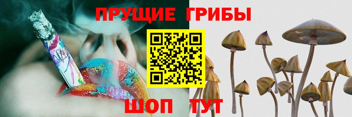 Черкесск  наркота  Вход с VPN  Псилоцибиновые грибы прущие грибы 